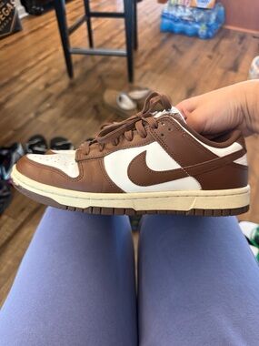 Nike Low-Top Dunks in Brown and White